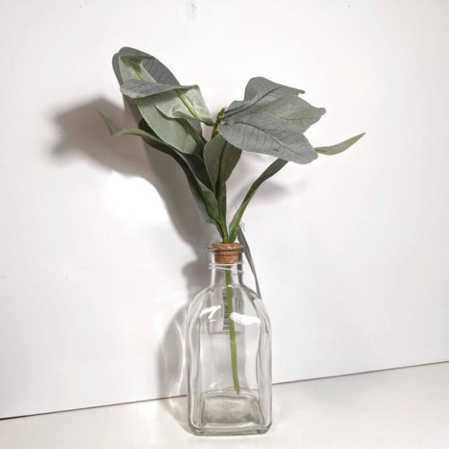 Giftware Blooming Botanicals | Bottled Succulents 30Cm