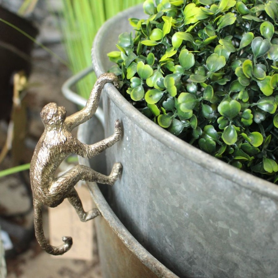 Garden Blooming Botanicals | Monkey Pot Hanger