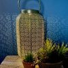 Garden Blooming Botanicals | Green & Gold Solar Lantern