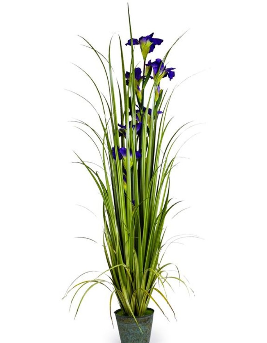 Home Decor Blooming Botanicals | Tall Grass With Purple Iris In Pot