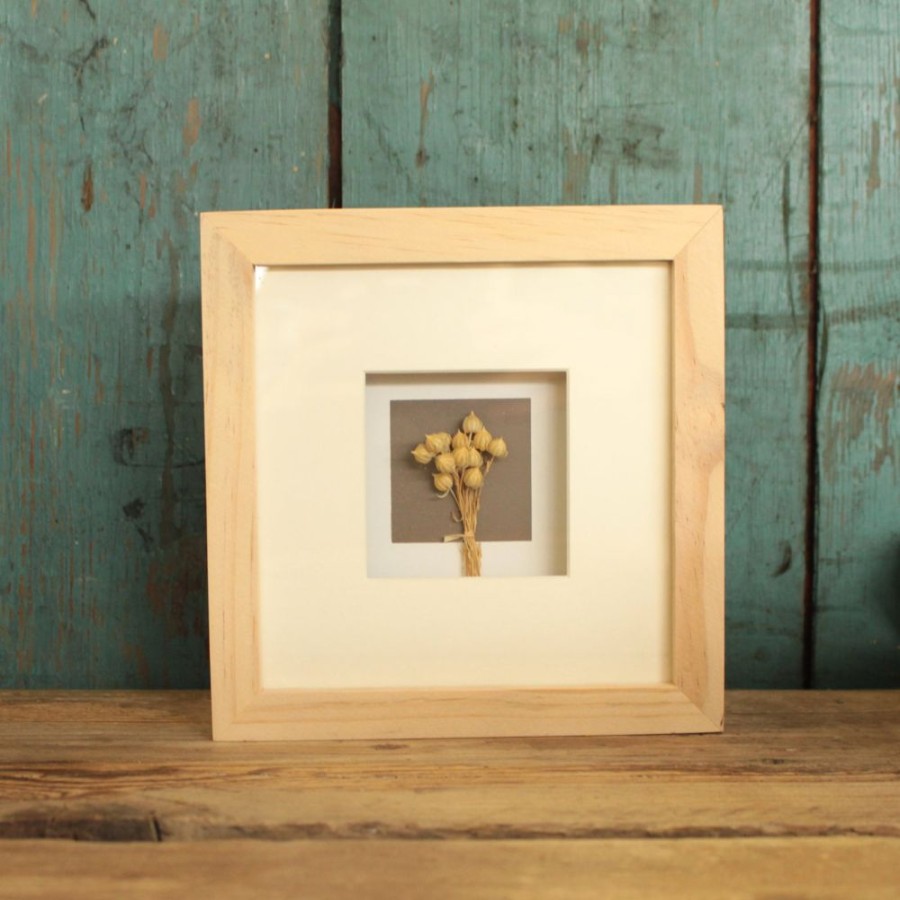 Home Decor Blooming Botanicals | Small Framed Dried Flowers