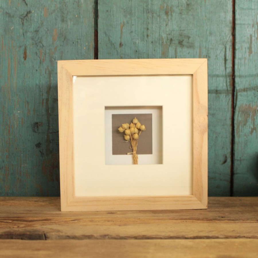 Home Decor Blooming Botanicals | Small Framed Dried Flowers