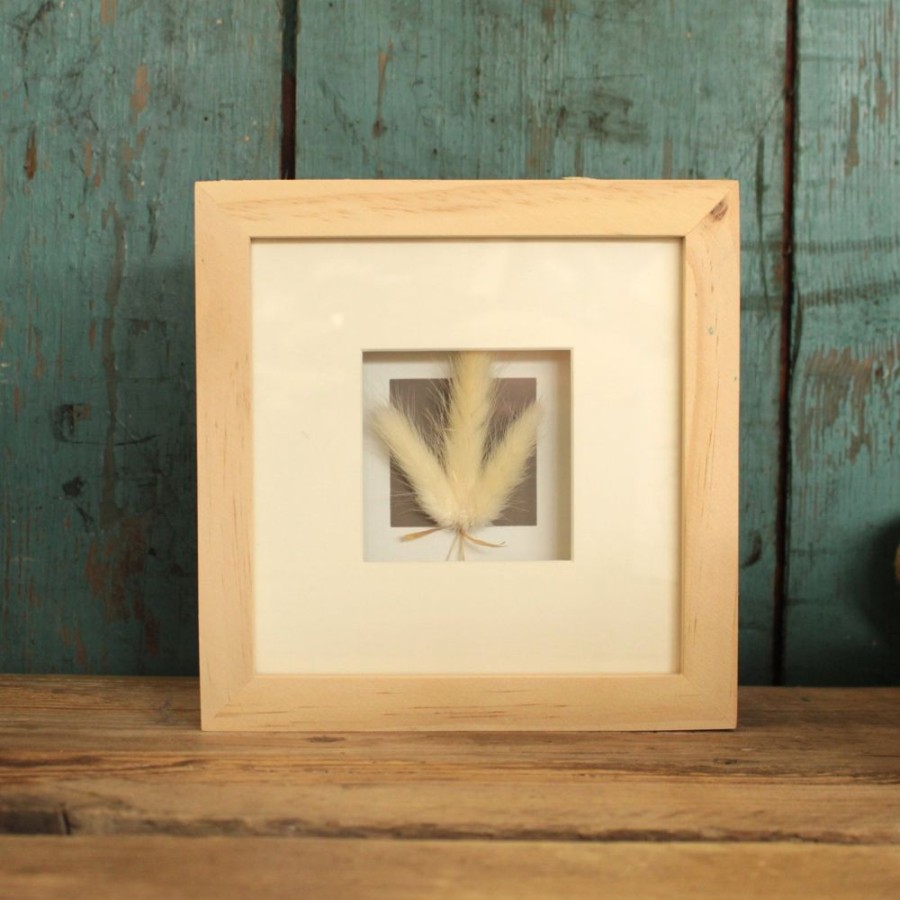 Home Decor Blooming Botanicals | Small Framed Dried Flowers