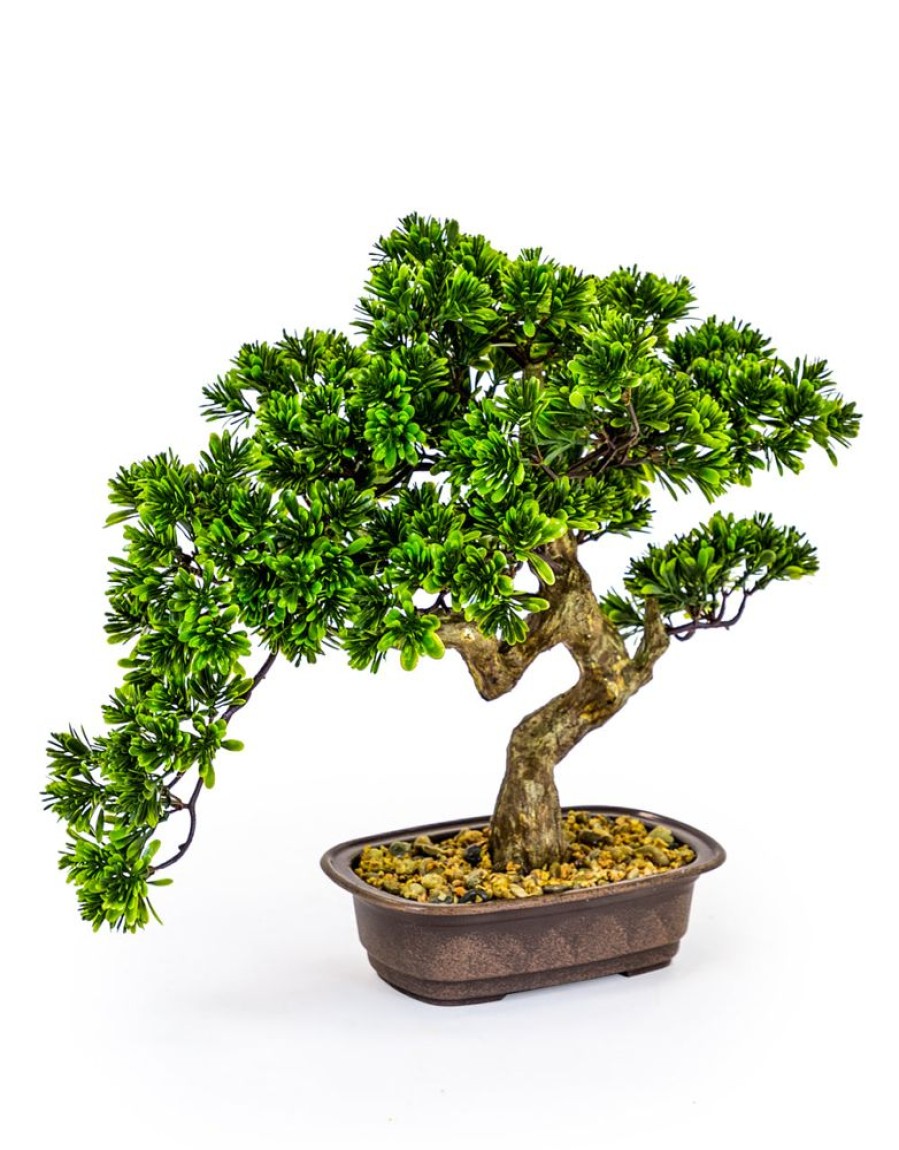 Home Decor Blooming Botanicals | Medium Bonsai Tree