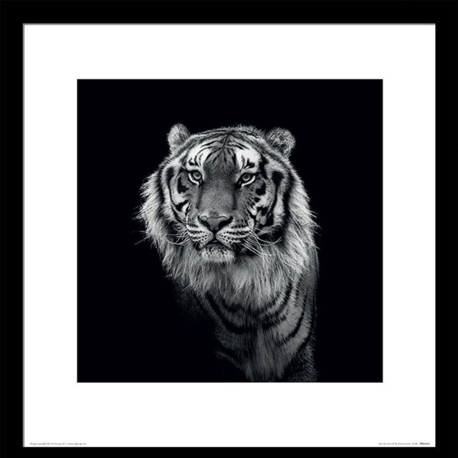 Home Decor HA Photographic | Marina Cano (Into The Dark Iii) - Framed Print