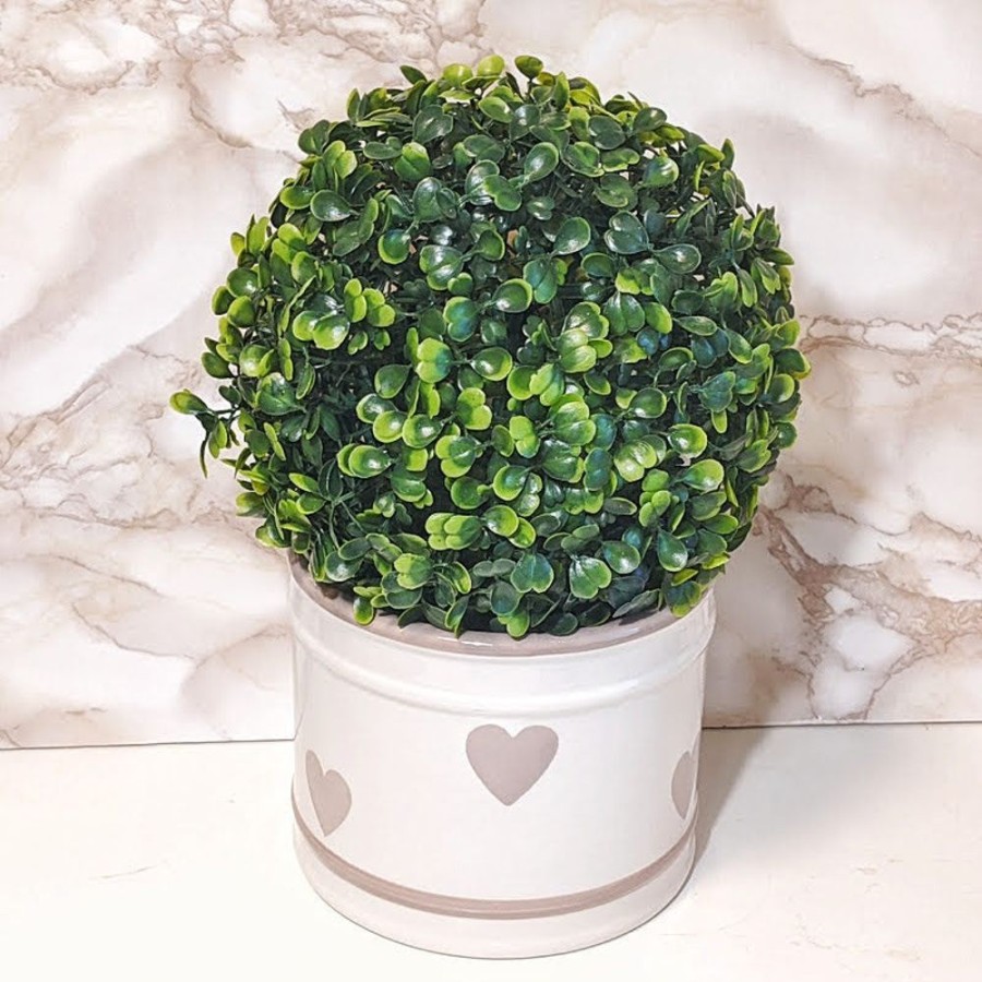 Home Decor Blooming Botanicals | Boxwood Ball 18Cm