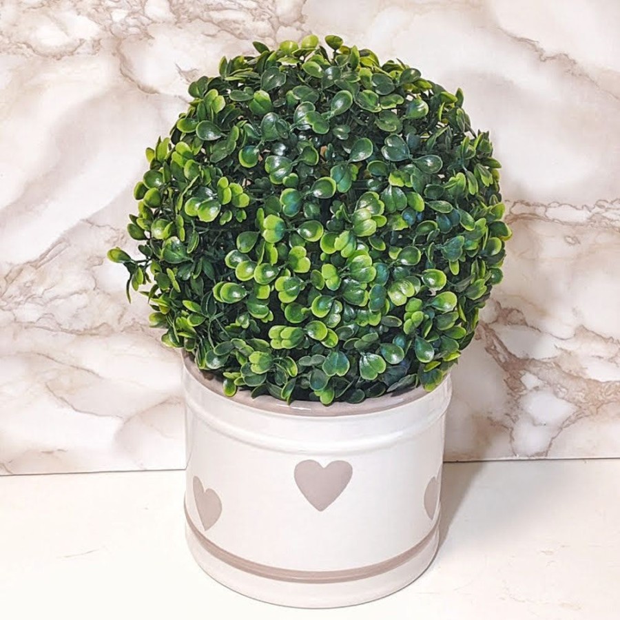 Outdoor Living Blooming Botanicals | Boxwood Ball 18Cm