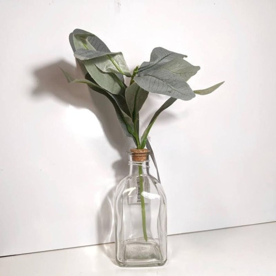 Home Decor Blooming Botanicals | Bottled Succulents 30Cm