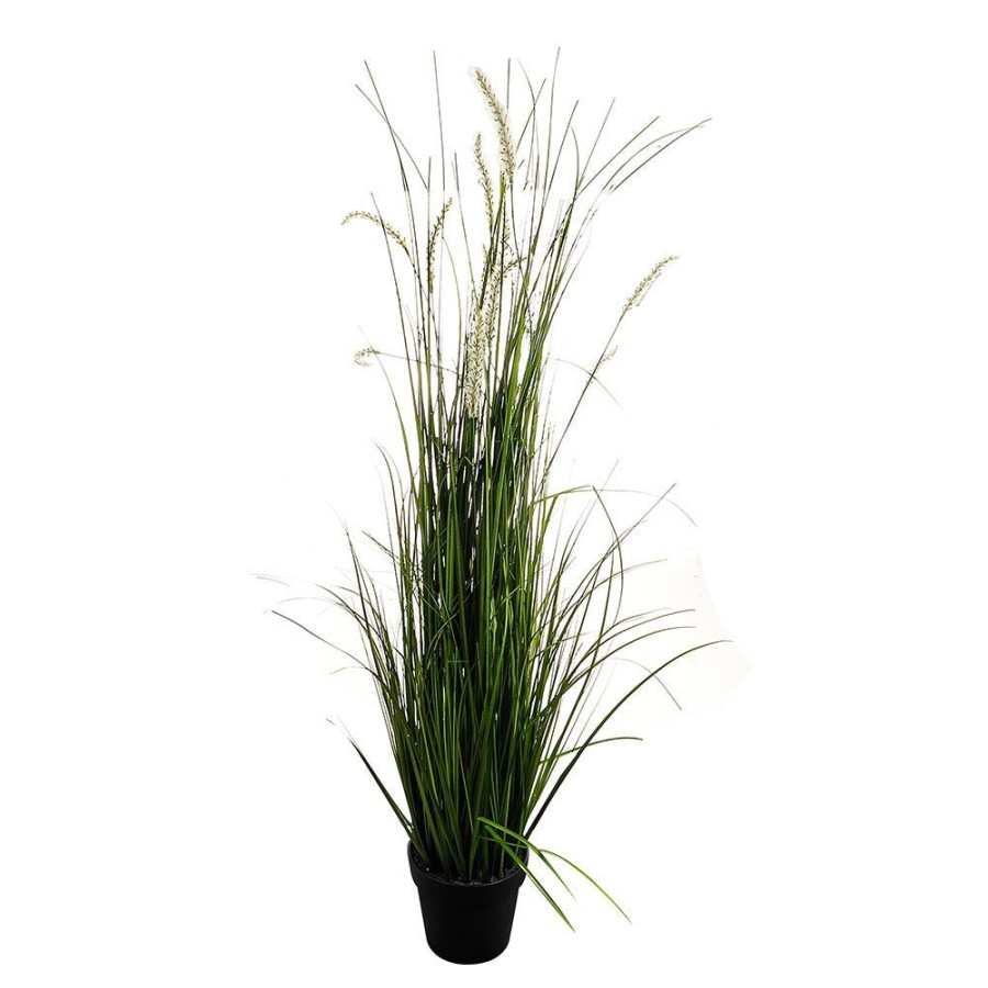 Home Decor Lilac Blanc | Potted Grass And Green Cattail