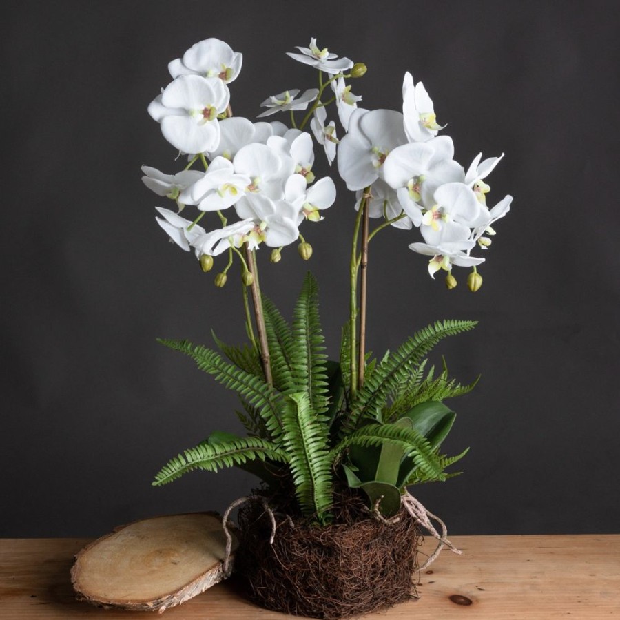 Home Decor Lilac Blanc | Faux Orchid And Fern Rootball Plant