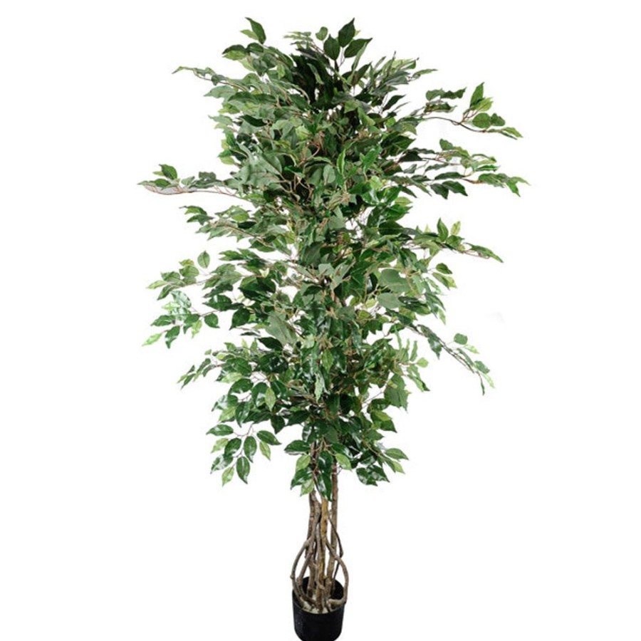 Home Decor Blooming Botanicals | Artificial Ficus Tree 185Cm