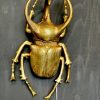 Home Decor Signature Collection | Extra Large Gold Beetle Wall Decor