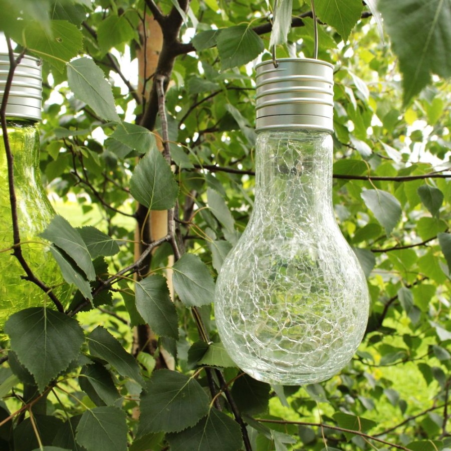 Garden Blooming Botanicals | Clear Glass Solar Lightbulb