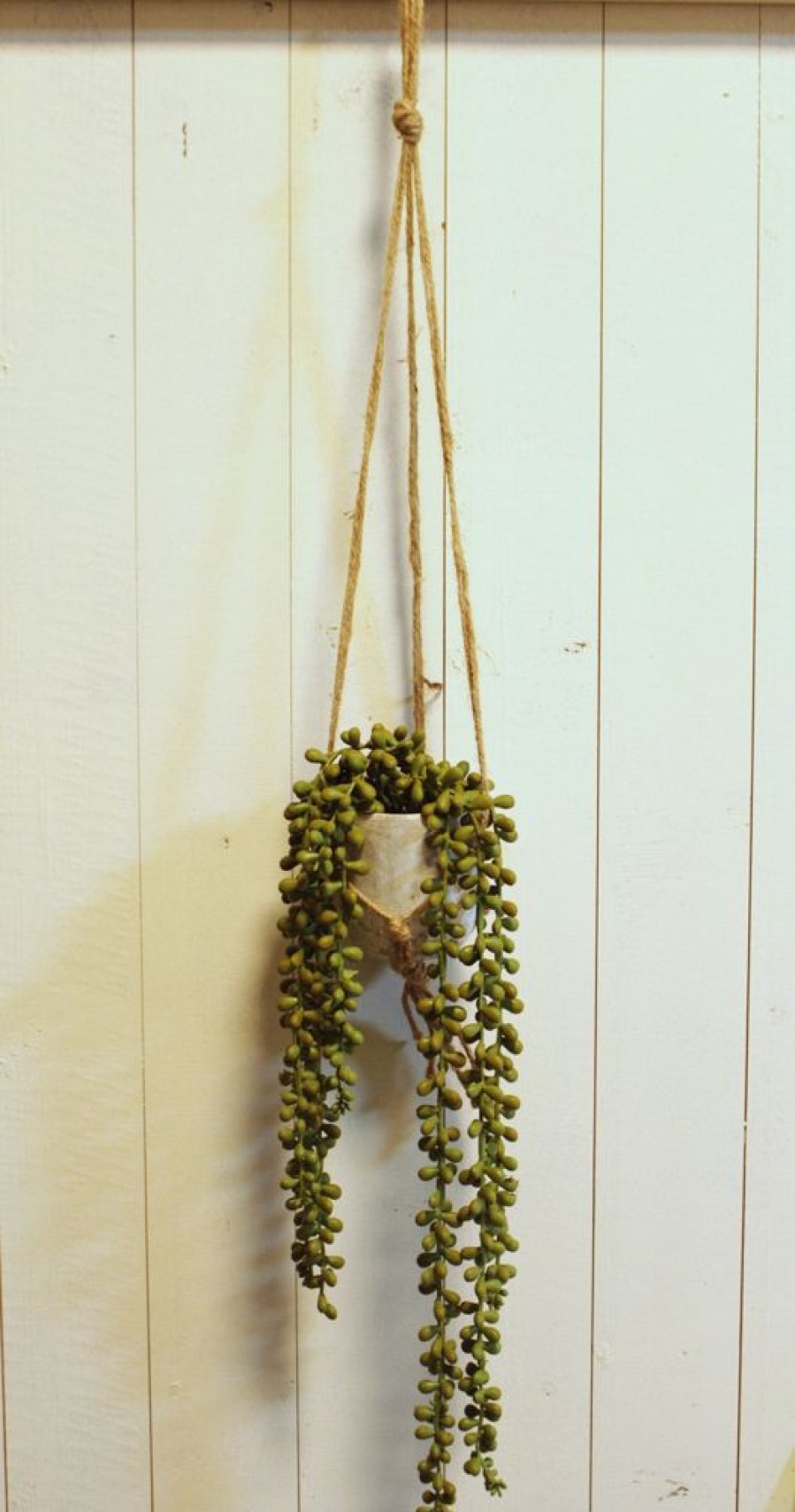 Home Decor Blooming Botanicals | Potted String Of Pearl Hanging