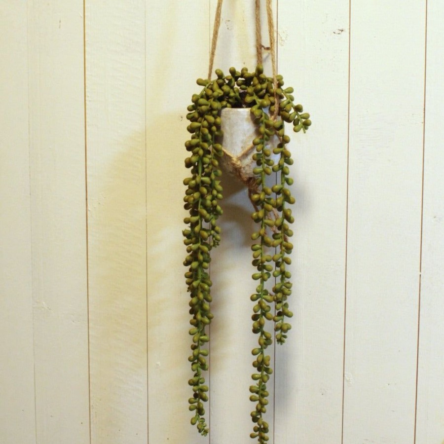 Home Decor Blooming Botanicals | Potted String Of Pearl Hanging