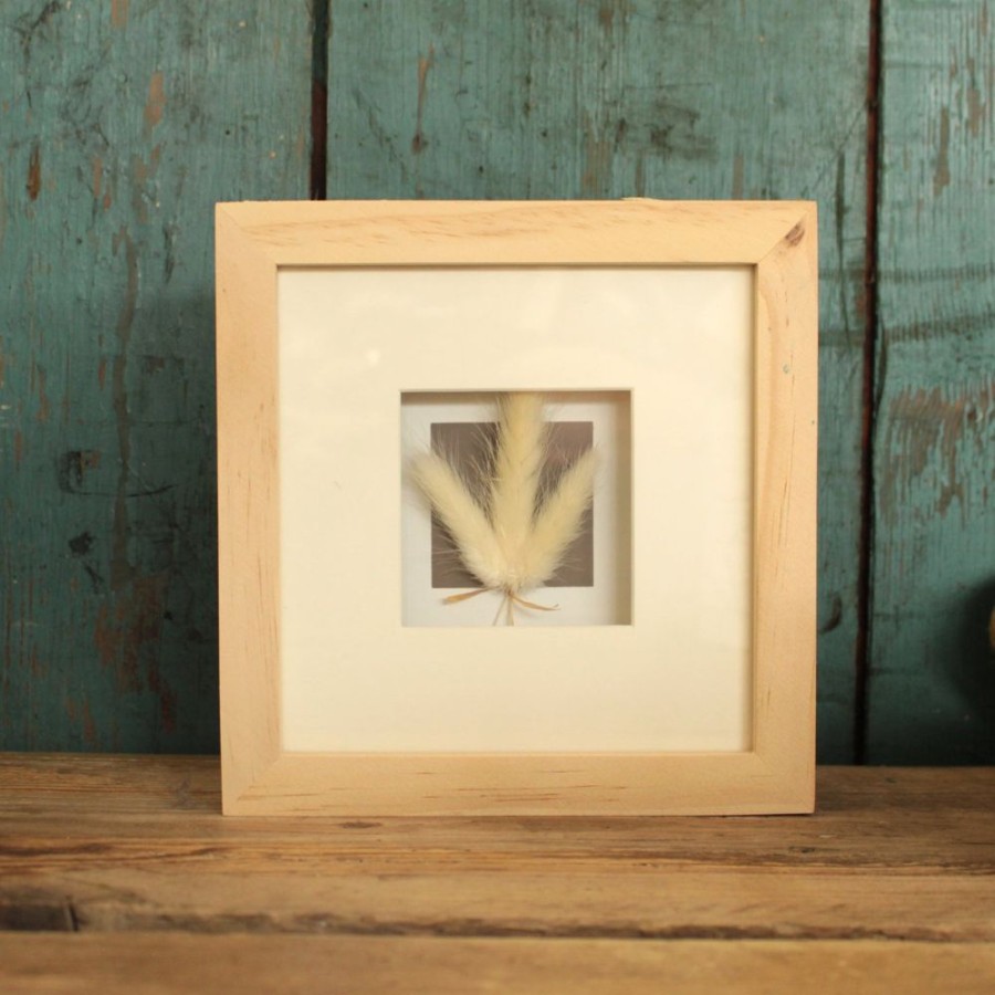 Home Decor Blooming Botanicals | Small Framed Dried Flowers