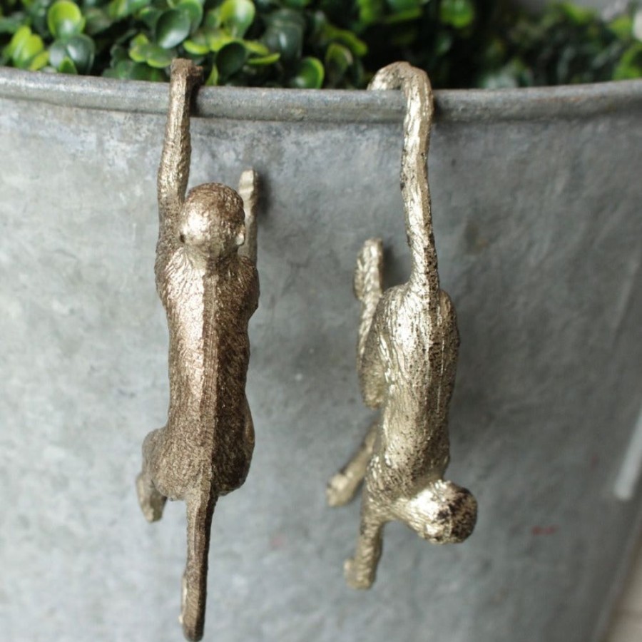 Garden Blooming Botanicals | Monkey Pot Hanger