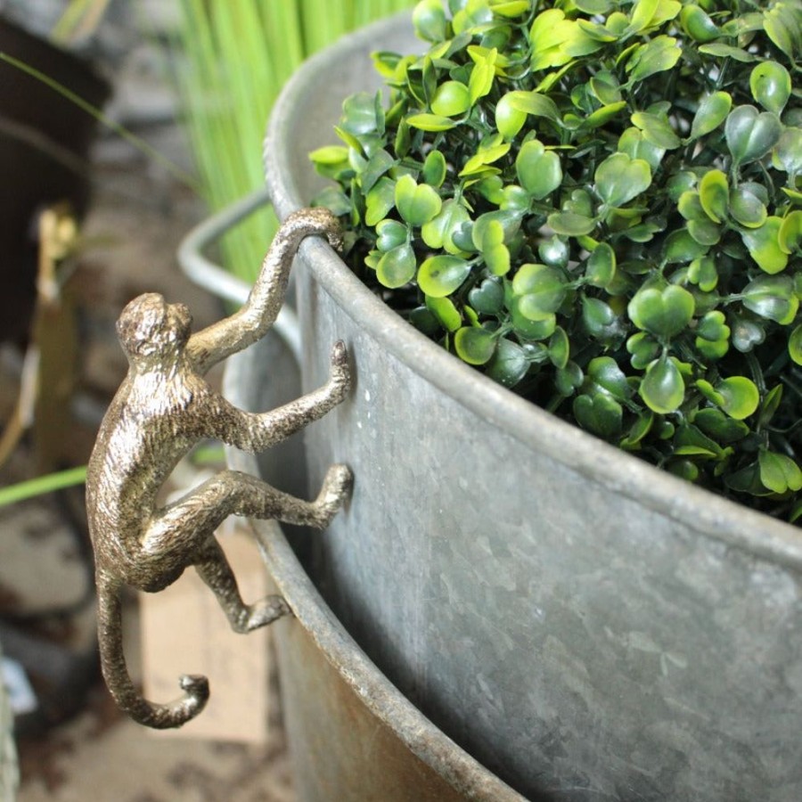 Outdoor Living Blooming Botanicals | Monkey Pot Hanger