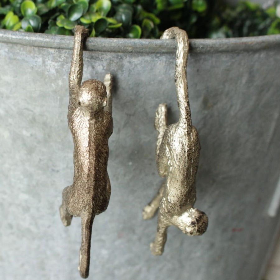 Outdoor Living Blooming Botanicals | Monkey Pot Hanger