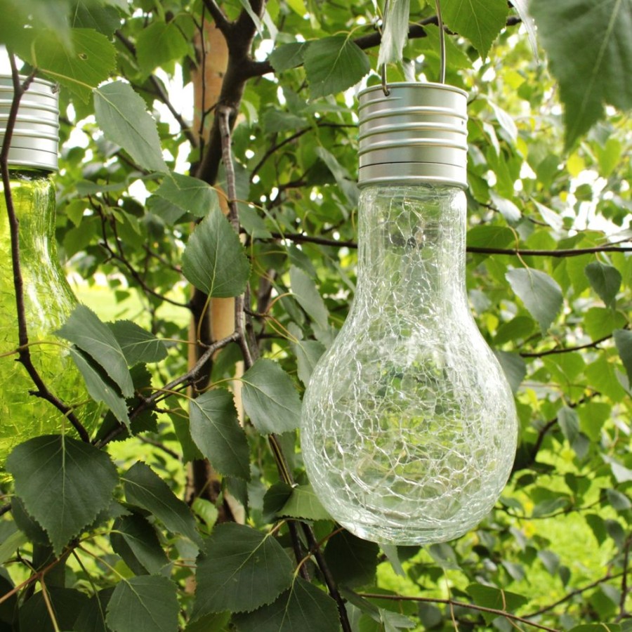 Outdoor Living Blooming Botanicals | Clear Glass Solar Lightbulb