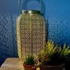 Garden Blooming Botanicals | Green & Gold Solar Lantern