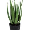 Home Decor Blooming Botanicals | Artificial Aloe Plant In Black Pot