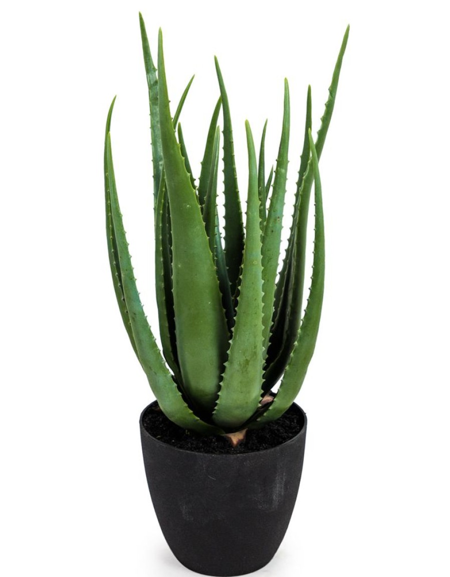 Home Decor Blooming Botanicals | Artificial Aloe Plant In Black Pot