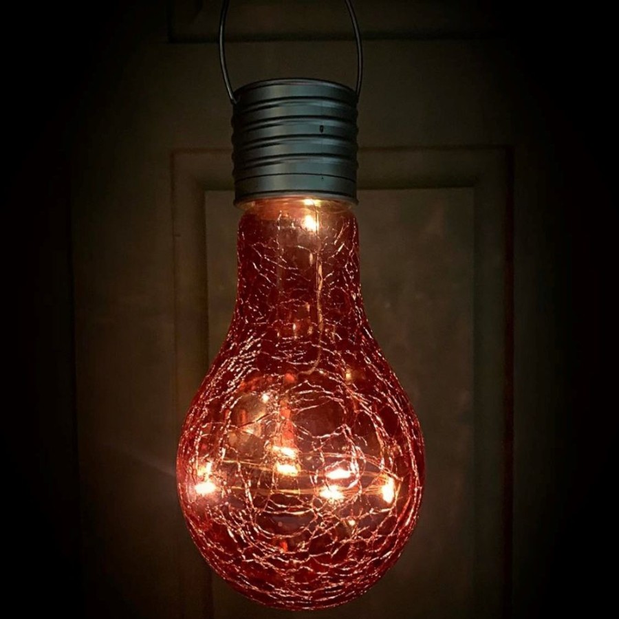 Home Decor Blooming Botanicals | Glass Solar Lightbulbs