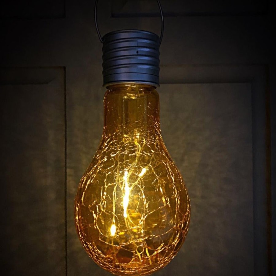 Home Decor Blooming Botanicals | Glass Solar Lightbulbs