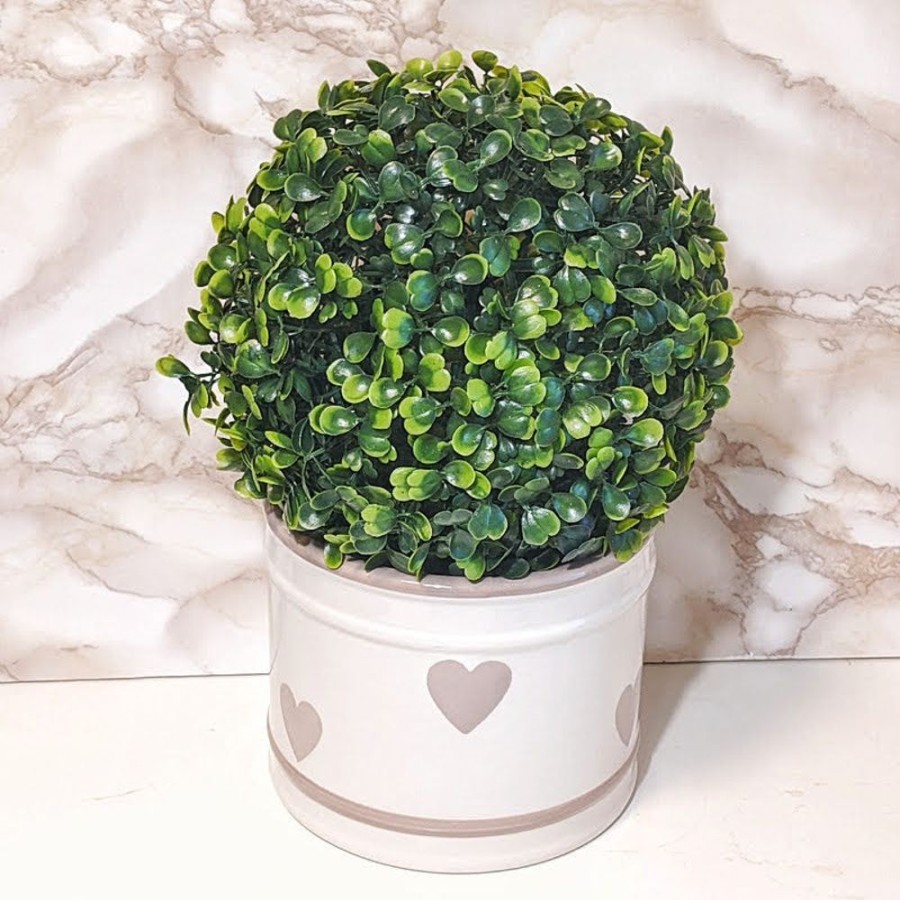 Garden Blooming Botanicals | Boxwood Ball 18Cm