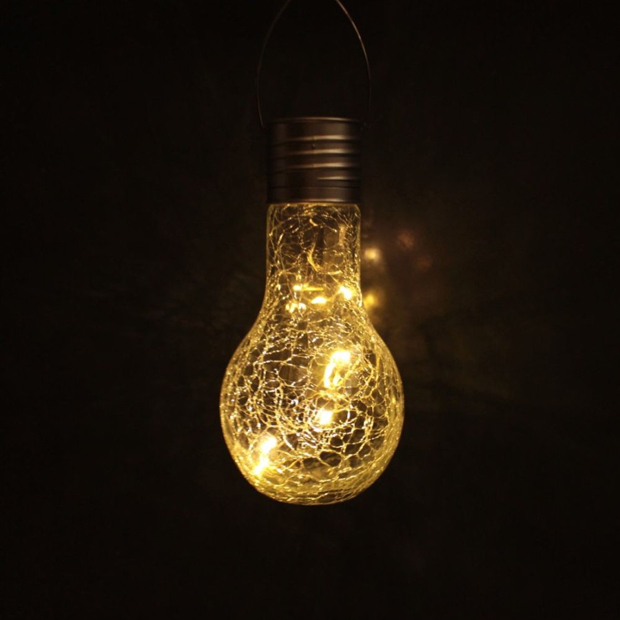 Garden Blooming Botanicals | Clear Glass Solar Lightbulb